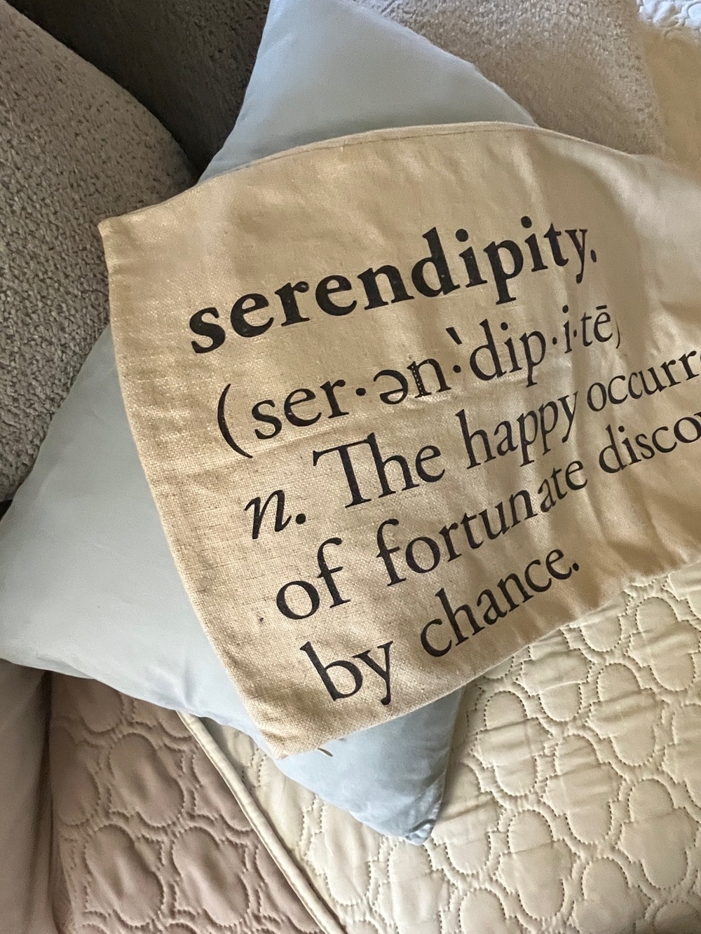 Pottery Barn Cream Accent Pillow with Black Text “Serendipity……” - Picture 2 of 12